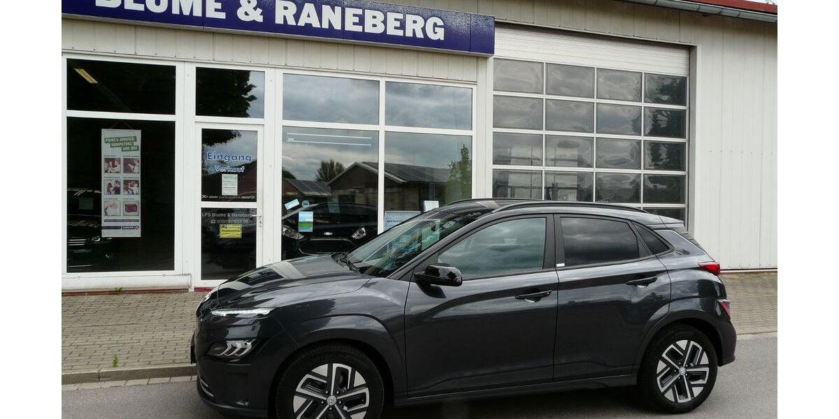 Hyundai KONA 81.150 km 17.490 &euro; Genthin 39307