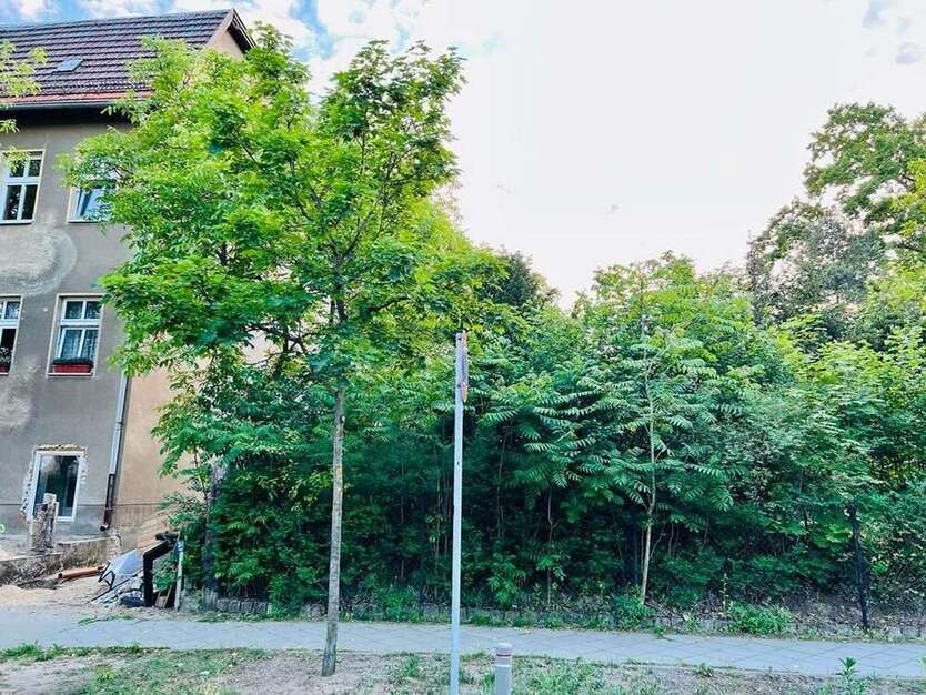 Grundstück zu verkaufen in Hohen Neuendorf 495.000 € 597 m²
