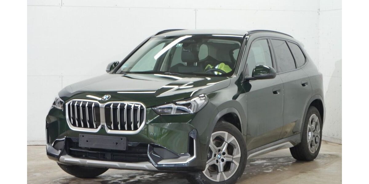 BMW X1 8.411 km 46.485 &euro; Windischleuba 04603