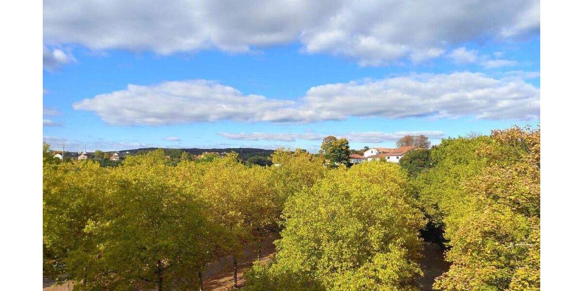 Schöne, helle DG-Wohnung in Uninähe ab sofort zu vermieten 3 zimmer