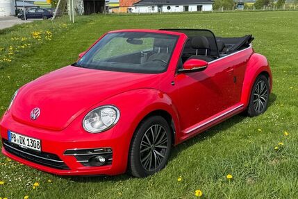 VW Beetle