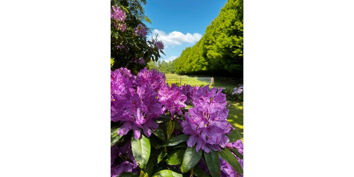 Einfamilienhaus Ritterhude - 3 Zimmer, 100 m&sup2;, 1.700&euro; | Angebot:24568470