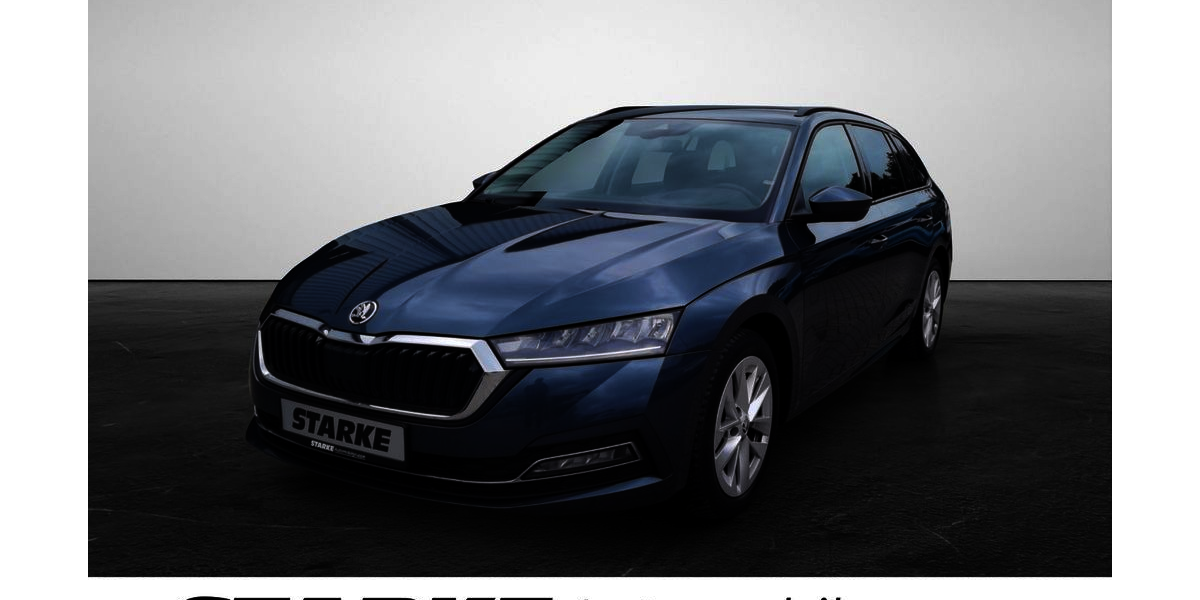 Skoda Octavia 120.887 km 18.990 &euro; Georgsmarienhütte 49124