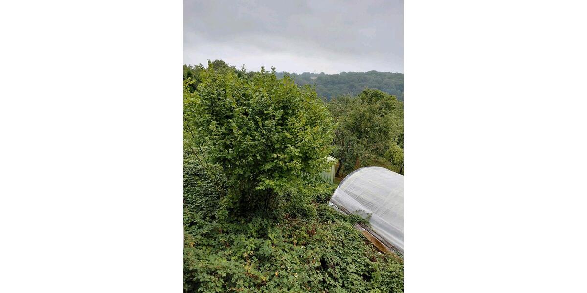Mehrfamilienhaus, Wohnhaus Rehlingen-Siersburg Siersburg - 300.000&euro; | Angebot:27284451