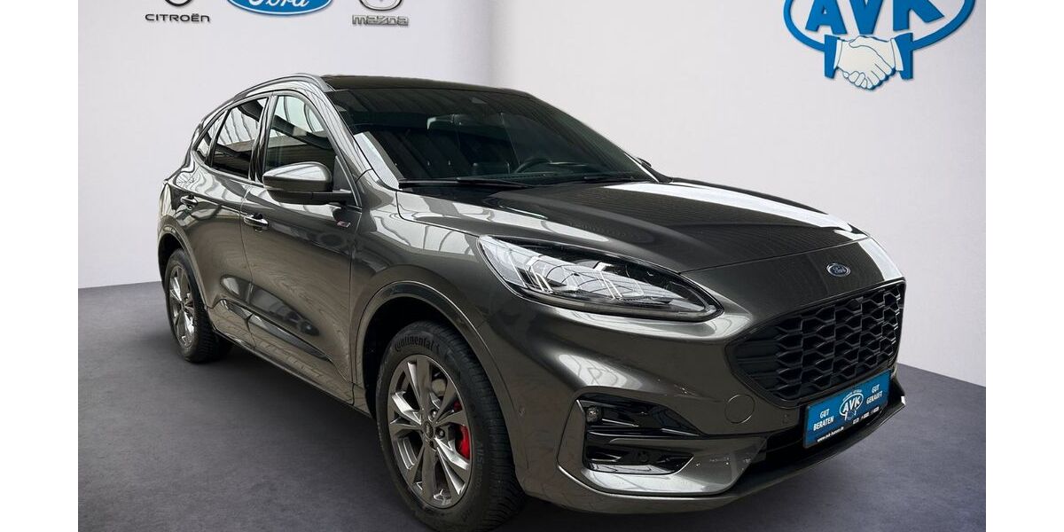 Ford Kuga 43.655 km 29.990 &euro; Husum 25813