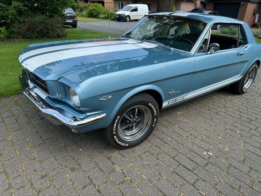 Mustang