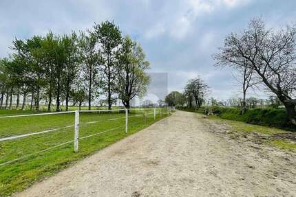 Haus Oldersbek - 6 Zimmer, 280 m&sup2;, 799.000&euro; | Angebot:26425992