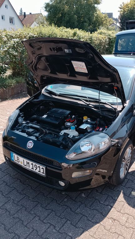 Punto