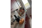 Etagenwohnung Ballenstedt - 2 Zimmer, 55 m&sup2;, 30.000&euro; | Angebot:26617119