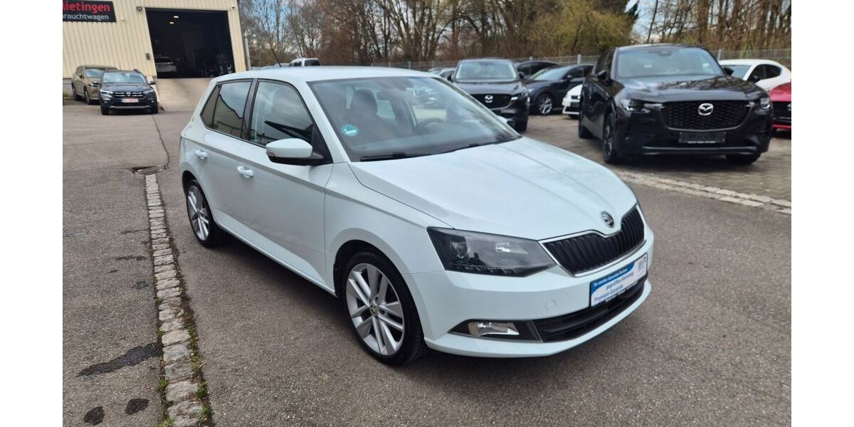 Skoda Fabia 100.000 km 8.500 &euro; Mietingen 88487