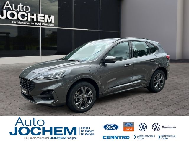Kuga