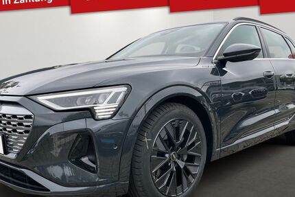 Audi Q8 e-tron 21.900 km 53.999 &euro; Lindau 88131