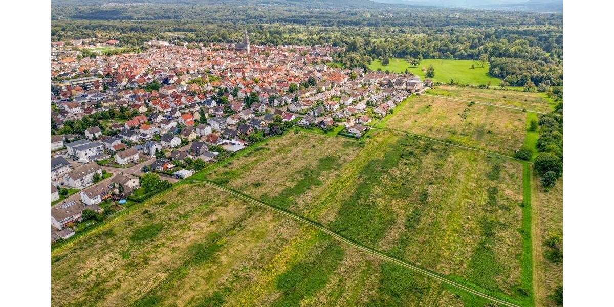 Grundstück Muggensturm - 245.000&euro; | Angebot:24860411