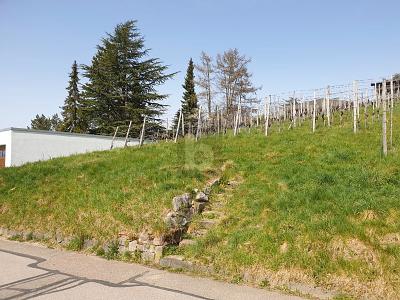 AUSSICHT & LEBENSQUALITÄT - Grundstück Bühlertal | Angebot:26207211