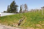 AUSSICHT & LEBENSQUALITÄT - Grundstück Bühlertal | Angebot:26207211
