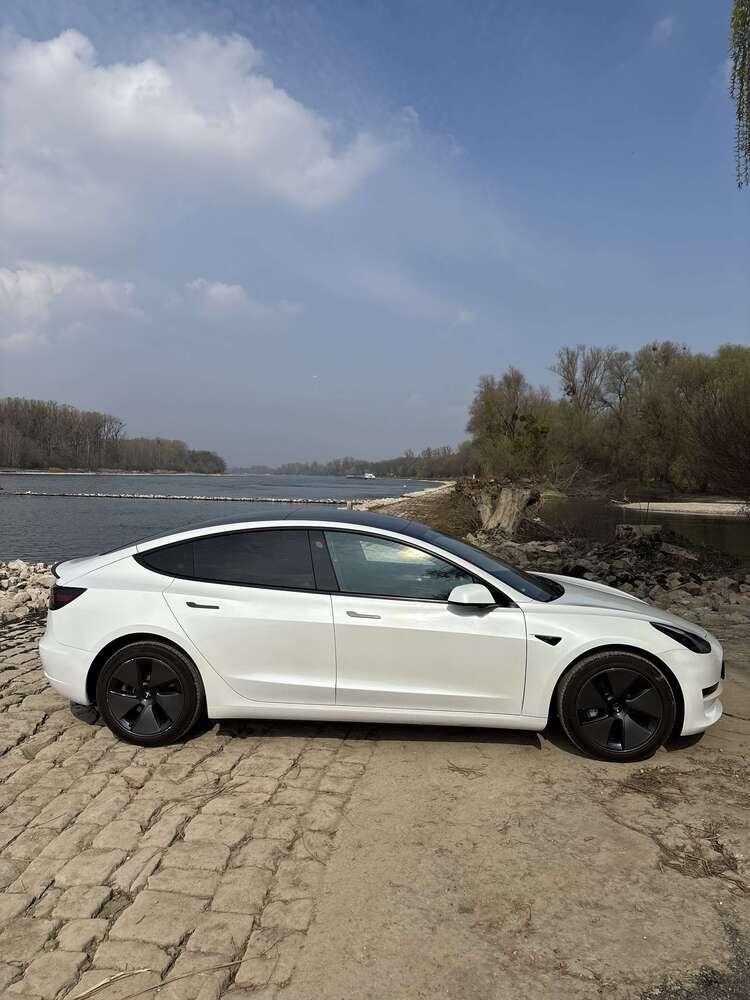 Model 3