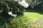 Einfamilienhaus Kümmersbruck - 5 Zimmer, 204 m&sup2;, 1.850&euro; | Angebot:26632583