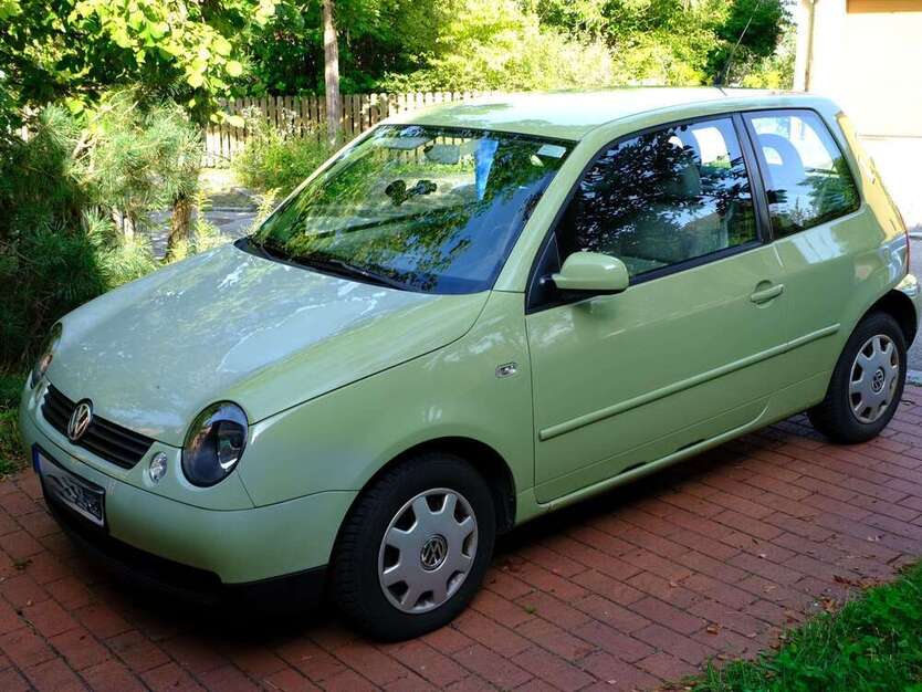 Lupo