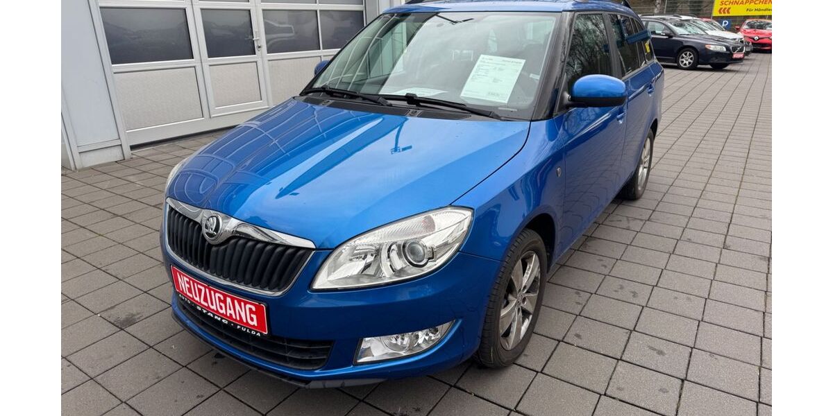 Skoda Fabia 134.420 km 8.900 &euro; Fulda 36043