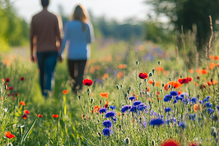 Sonntag 20. Juli 14-15 Uhr Rohbaubesichtigung! Natur vor der Tür und ein wunderschöner Blick über die Felder!