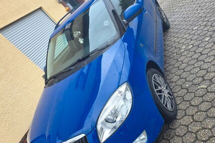 Skoda Fabia 292.873 km 2.500 &euro; Hentern 54314