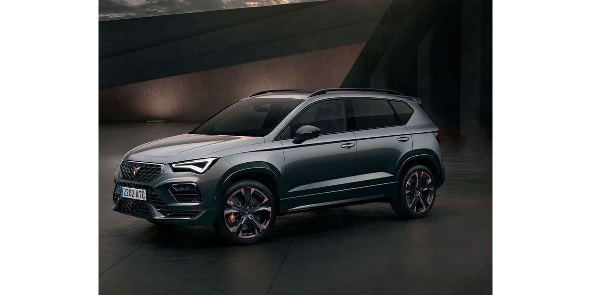 Cupra Ateca 50.000 km 100.000 &euro; Kleinmachnow 14532