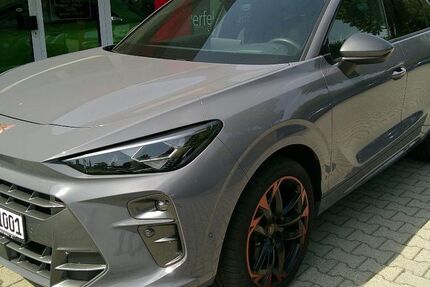 Cupra Terramar 12.000 km 44.900 &euro; Steinigtwolmsdorf 01904