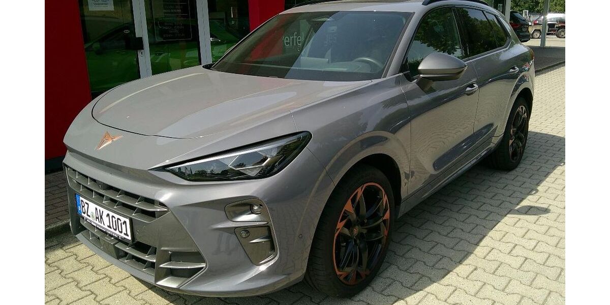 Cupra Terramar 12.000 km 44.900 &euro; Steinigtwolmsdorf 01904