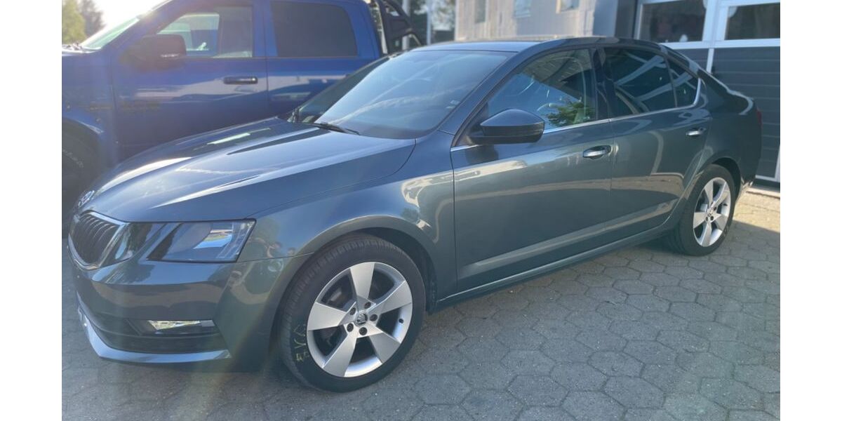 Skoda Octavia 99.900 km 13.990 &euro; Stelle 21435