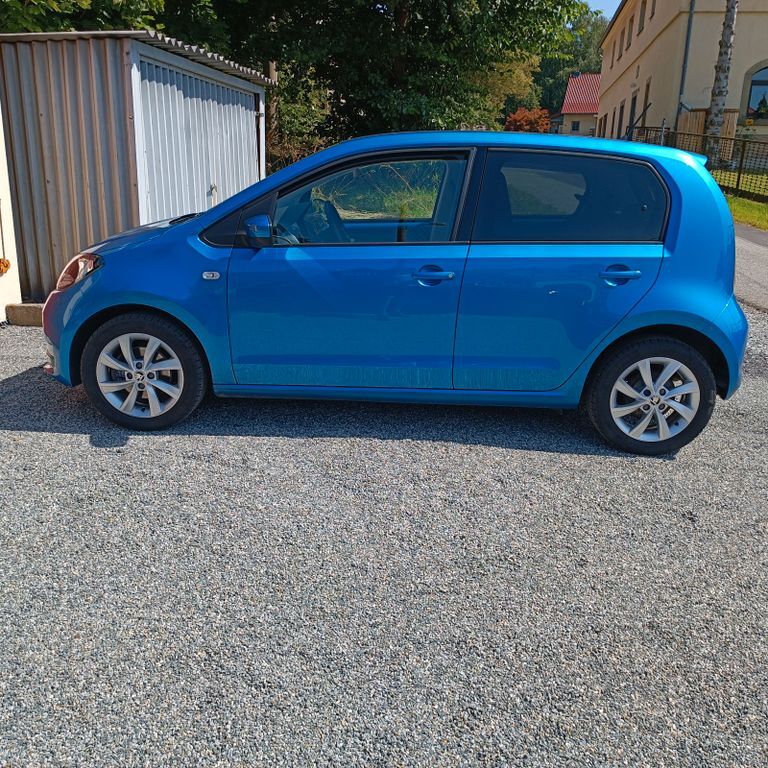 Citigo