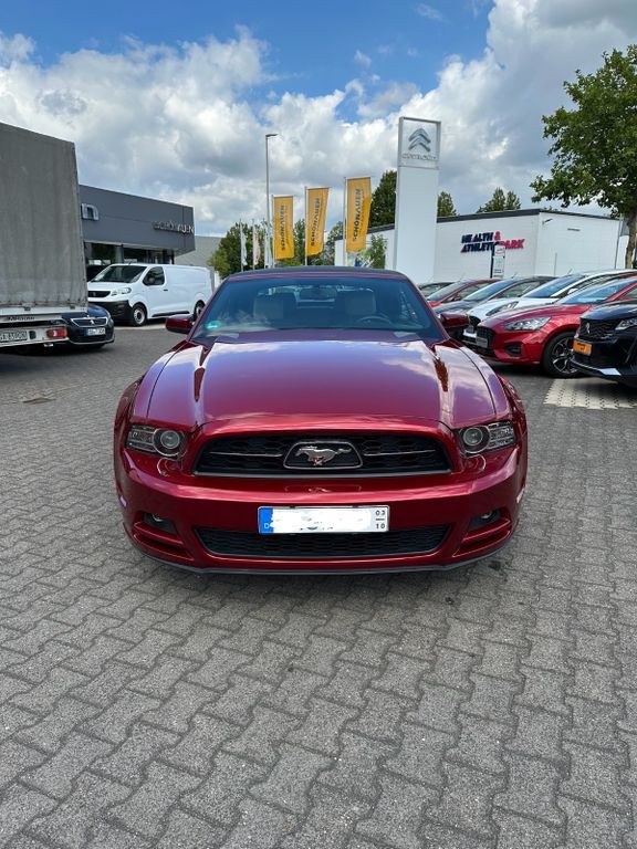 Mustang
