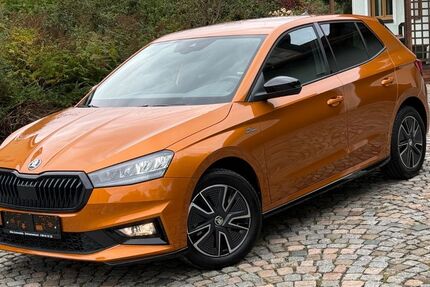 Skoda Fabia 22.000 km 20.550 € Schwarzenbach 92720