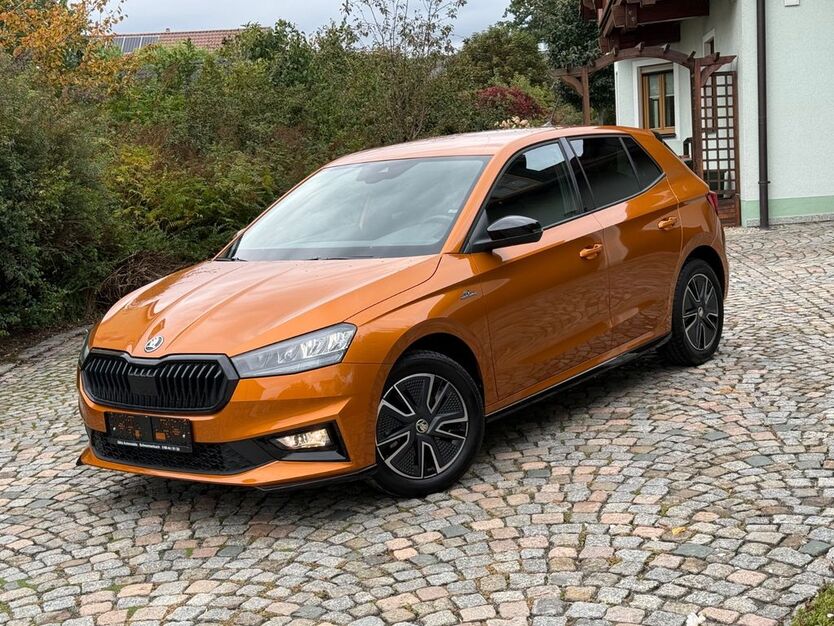 Skoda Fabia 22.000 km 20.550 € Schwarzenbach 92720