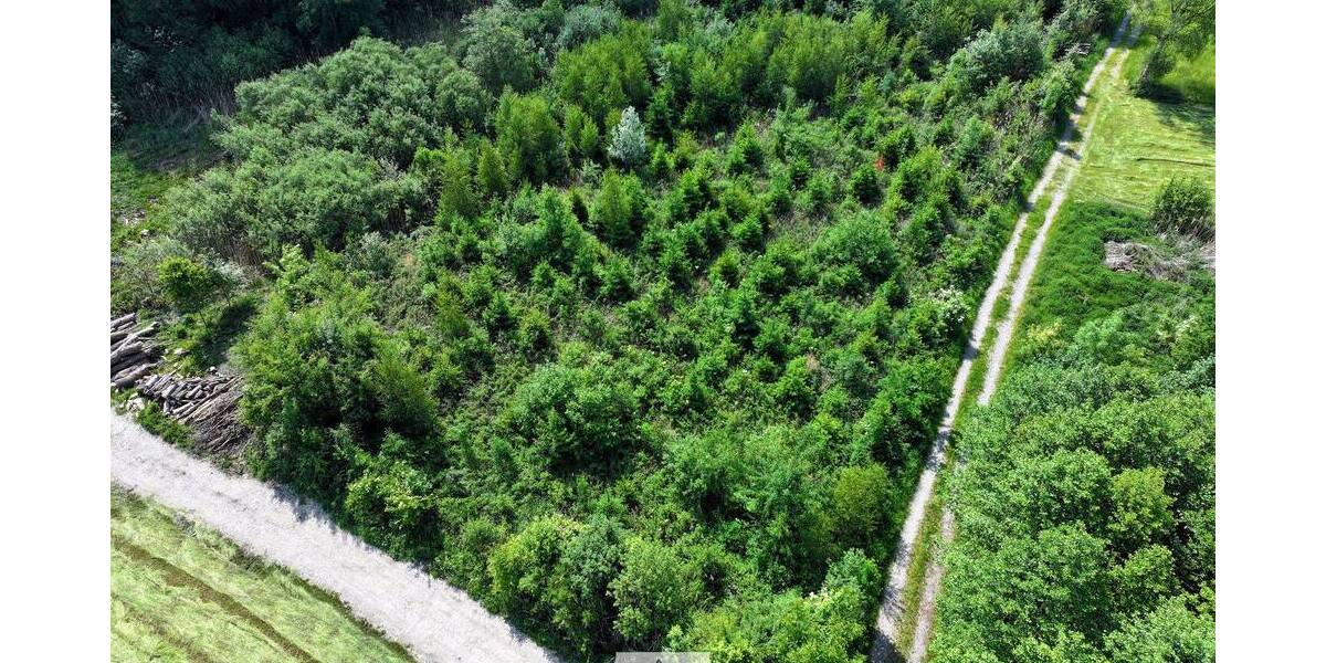 Grundstück Bergatreute - 119.000&euro; | Angebot:26798337