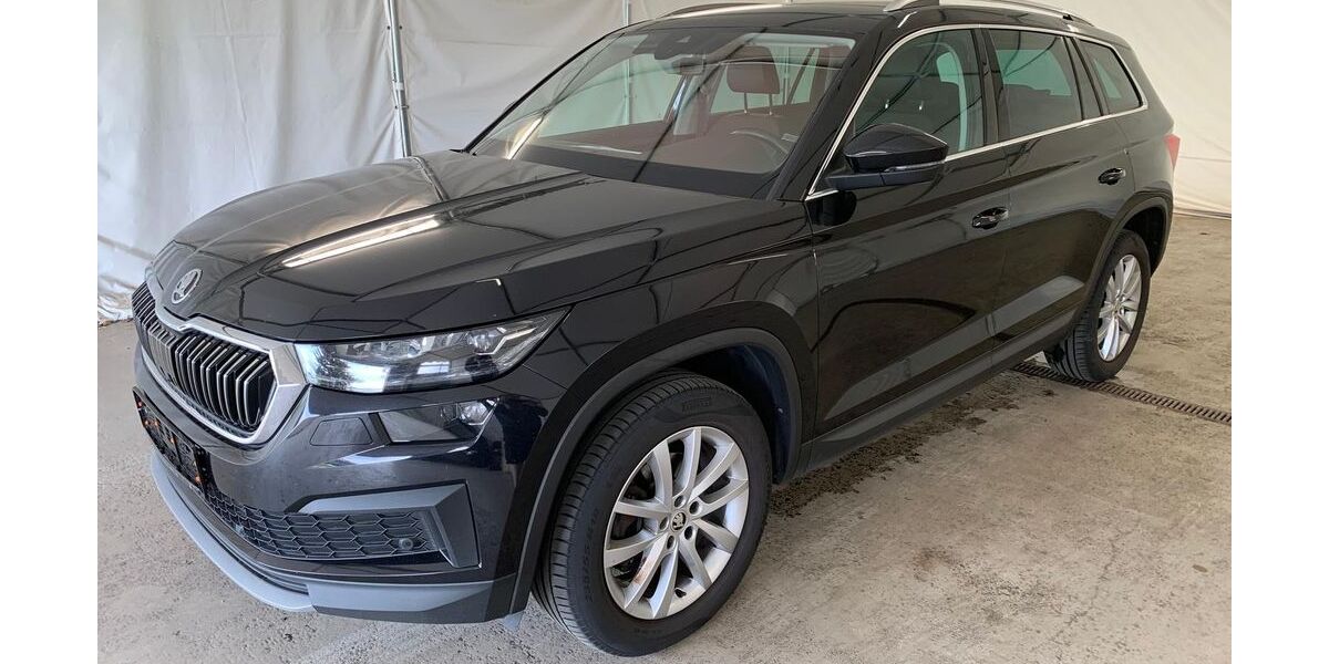 Skoda Kodiaq 219.900 km 19.490 &euro; Steinbach-Hallenberg OT Herges-Hallenberg 98587