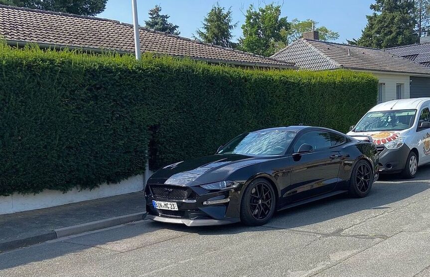 Mustang