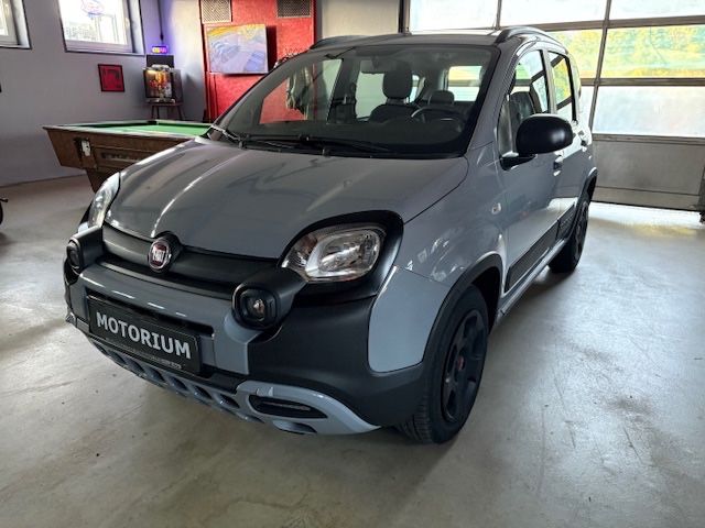 Panda