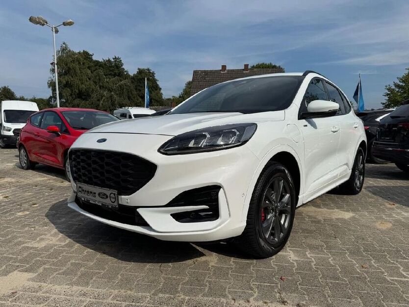 Kuga