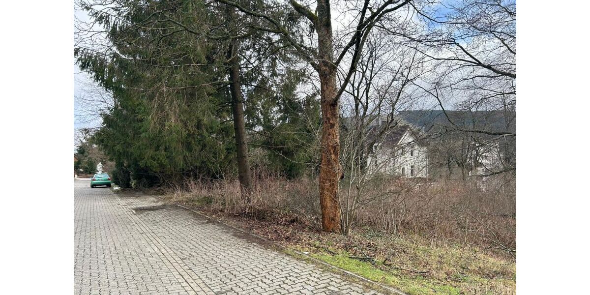 Provisionsfrei* Unbebautes Grundstück im Ortskern Hahnenklee - Grundstück Goslar Hahnenklee | Angebot:26063662