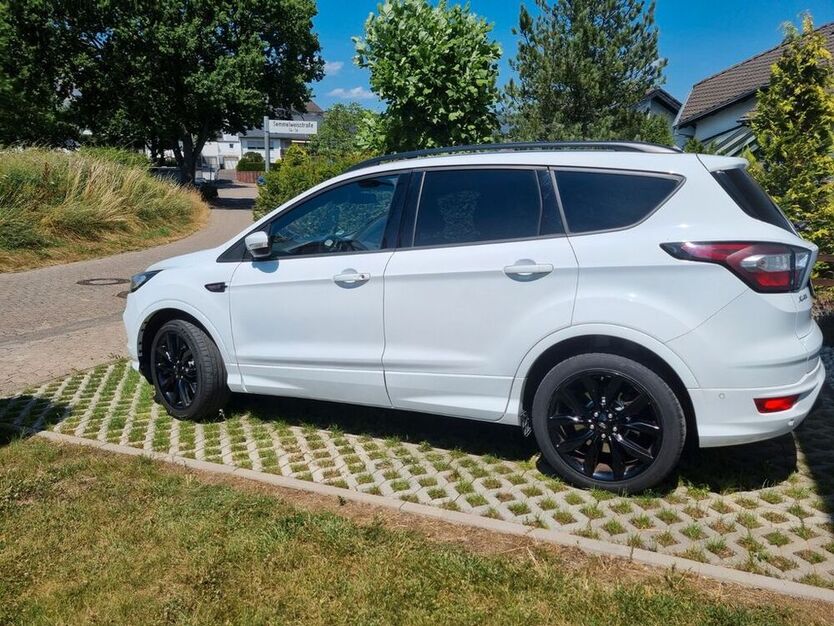 Kuga