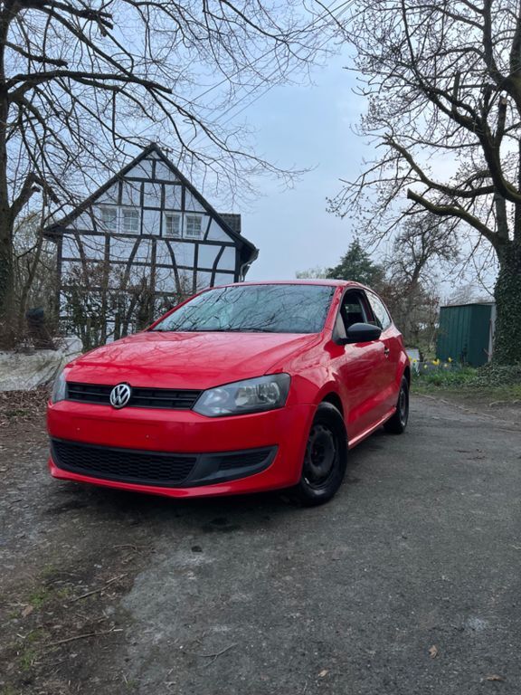 Polo