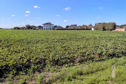 Grundstück Rottmersleben Rottmersleben - 72.500&euro; | Angebot:22400525