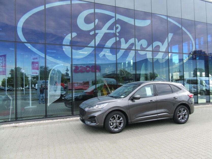 Kuga
