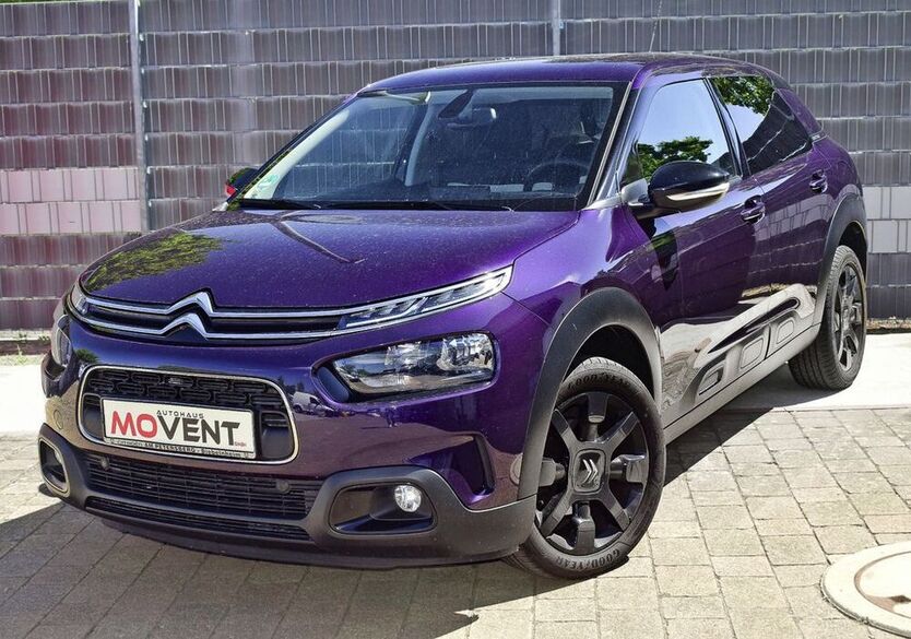 C4 Cactus