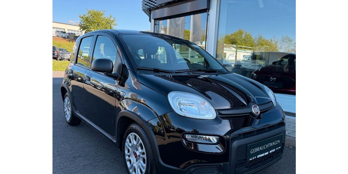 Fiat Panda 76.500 km 9.980 &euro; Wittlich 54516
