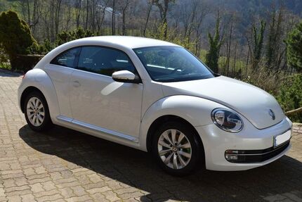 VW Beetle