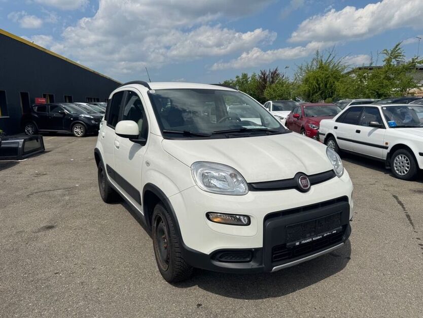 Panda