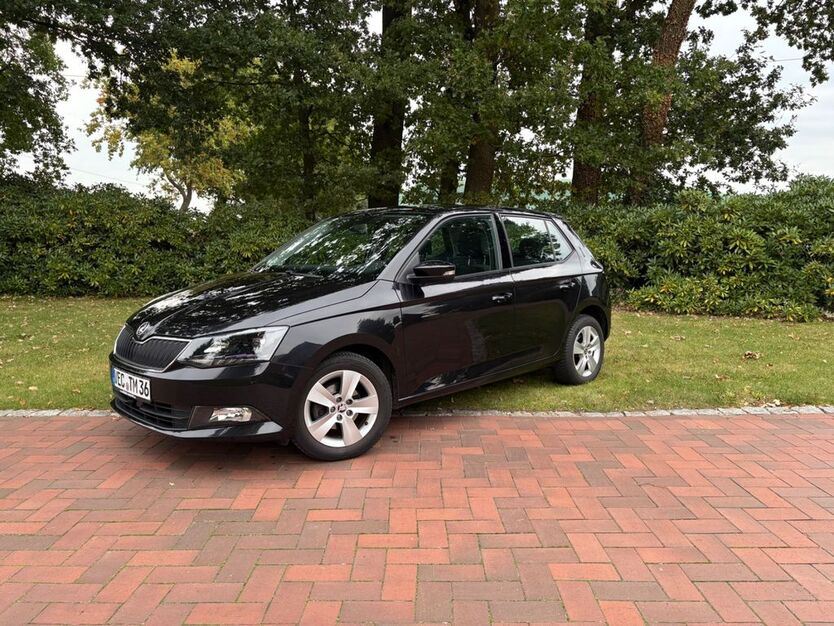 Skoda Fabia 115.000 km 9.500 € Visbek 49429