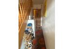 Terrassenwohnung Röthenbach an der Pegnitz - 4 Zimmer, 98 m&sup2;, 359.000&euro; | Angebot:26238928