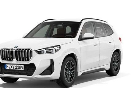 BMW X1 21.748 km 42.930 &euro; Achern 77855